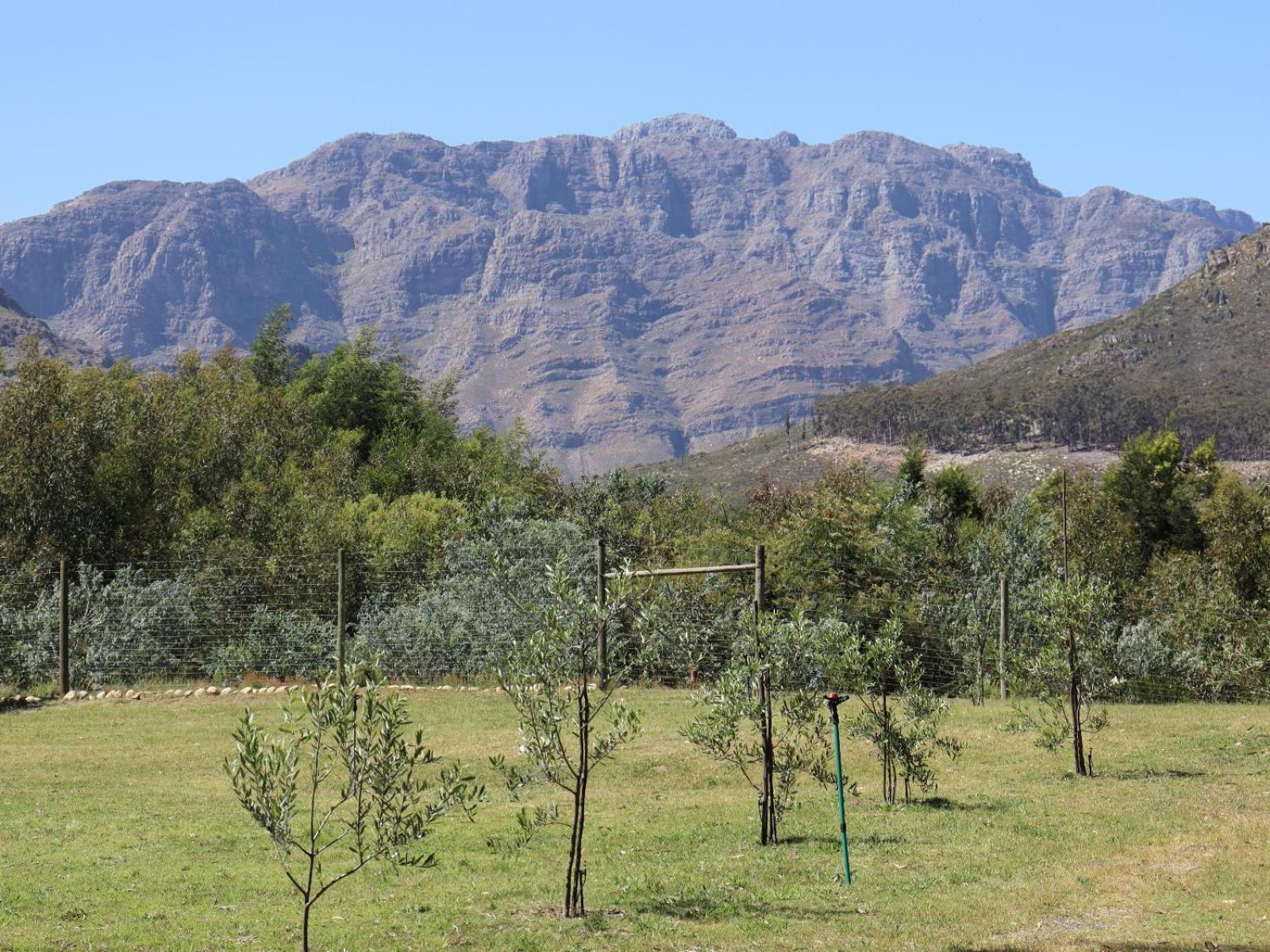 La Ferme Guest Farm - Hot Tubs Vila Franschhoek Exterior foto