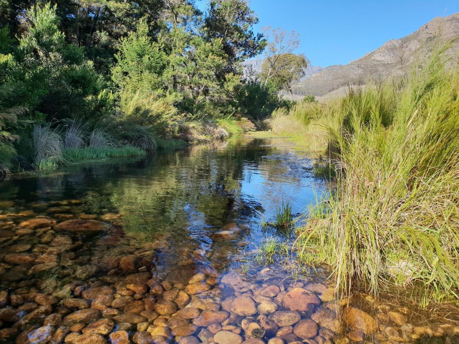 La Ferme Guest Farm - Hot Tubs Vila Franschhoek Exterior foto