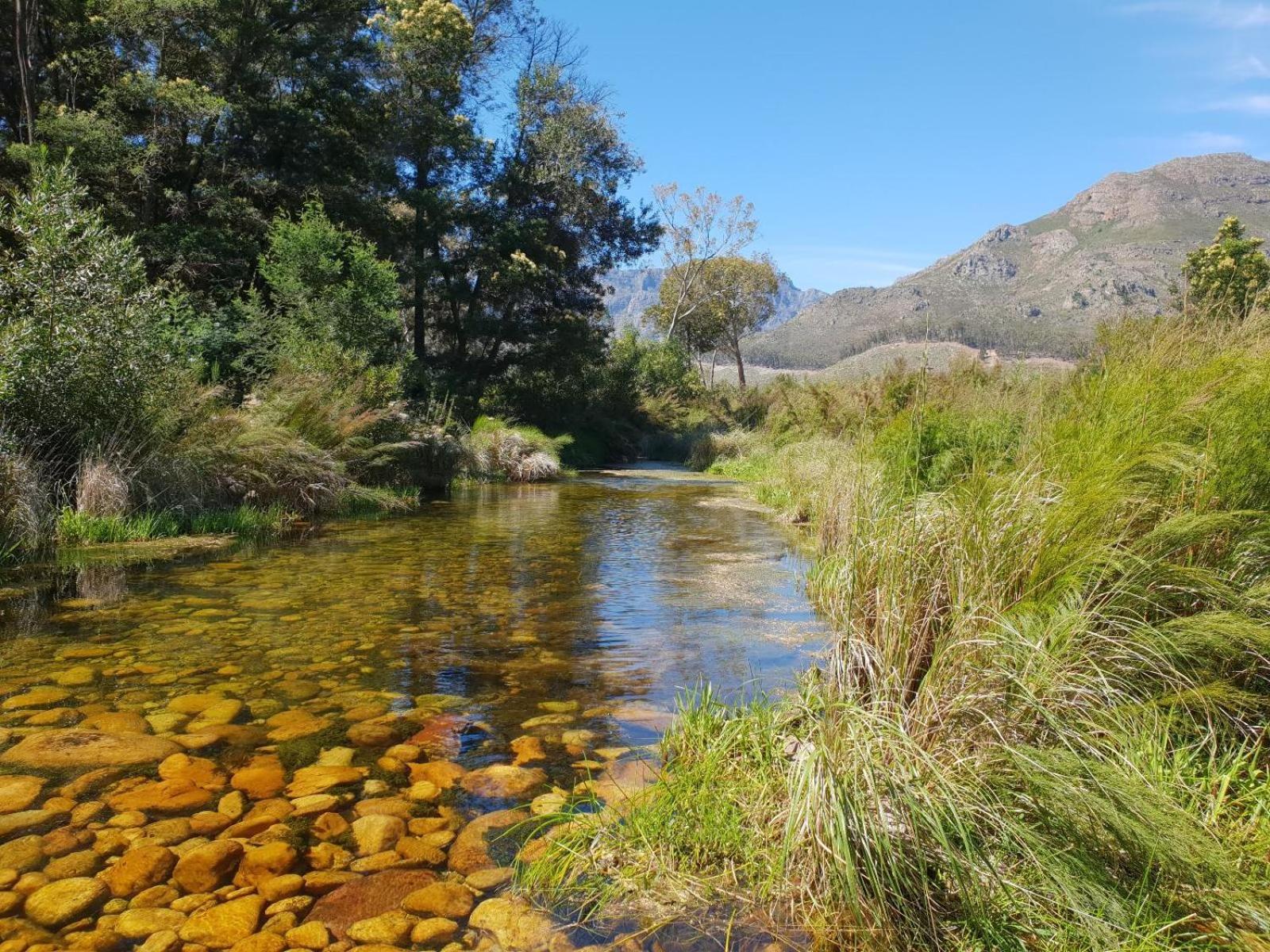 La Ferme Guest Farm - Hot Tubs Vila Franschhoek Exterior foto