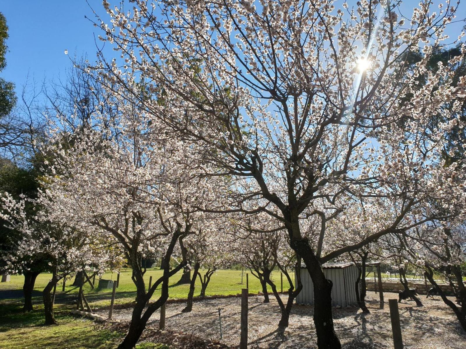 La Ferme Guest Farm - Hot Tubs Vila Franschhoek Exterior foto